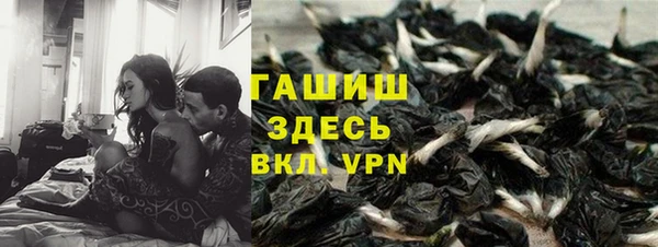ешки Алексин