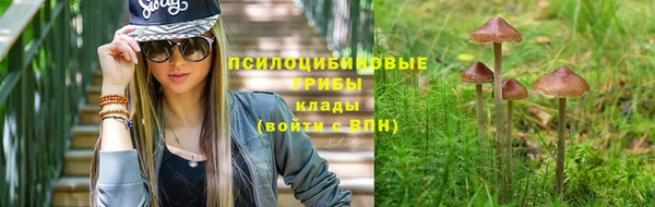 ешки Алексин