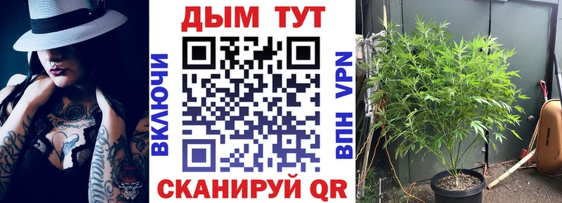 хочу наркоту  кракен tor  Канабис сатива  Бирск 